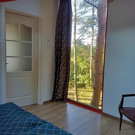 Zegzug Apartment