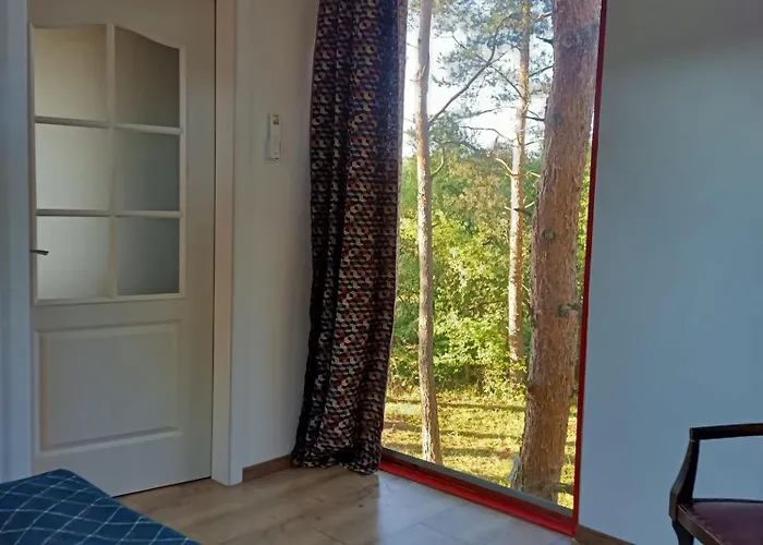 Zegzug Apartment
